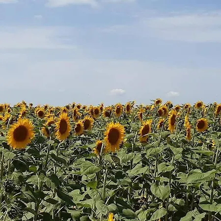 Samaret Gers En Gascogne Lagardere