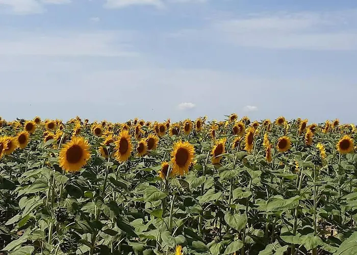 Samaret Gers En Gascogne Lagardere